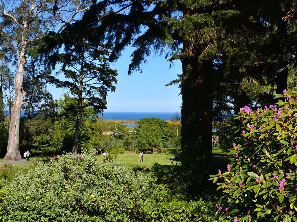 Tinakilly Country House Hotel Rathnew Exteriér fotografie