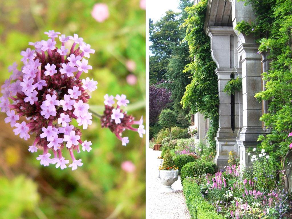 Tinakilly Country House Hotel Rathnew Exteriér fotografie